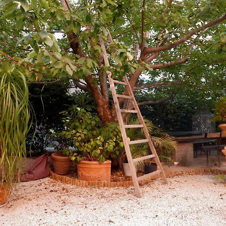 Jardin Vieux Port Panier Otel Marsilya Dış mekan fotoğraf