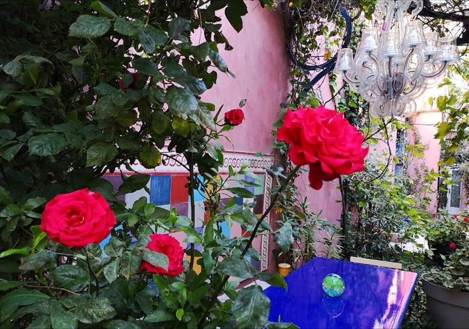 Jardin Vieux Port Panier Otel Marsilya Dış mekan fotoğraf